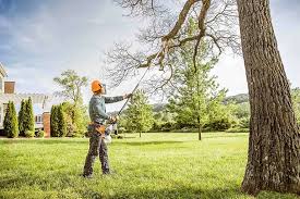 Trusted Lincoln Beach, OR Tree Services Experts